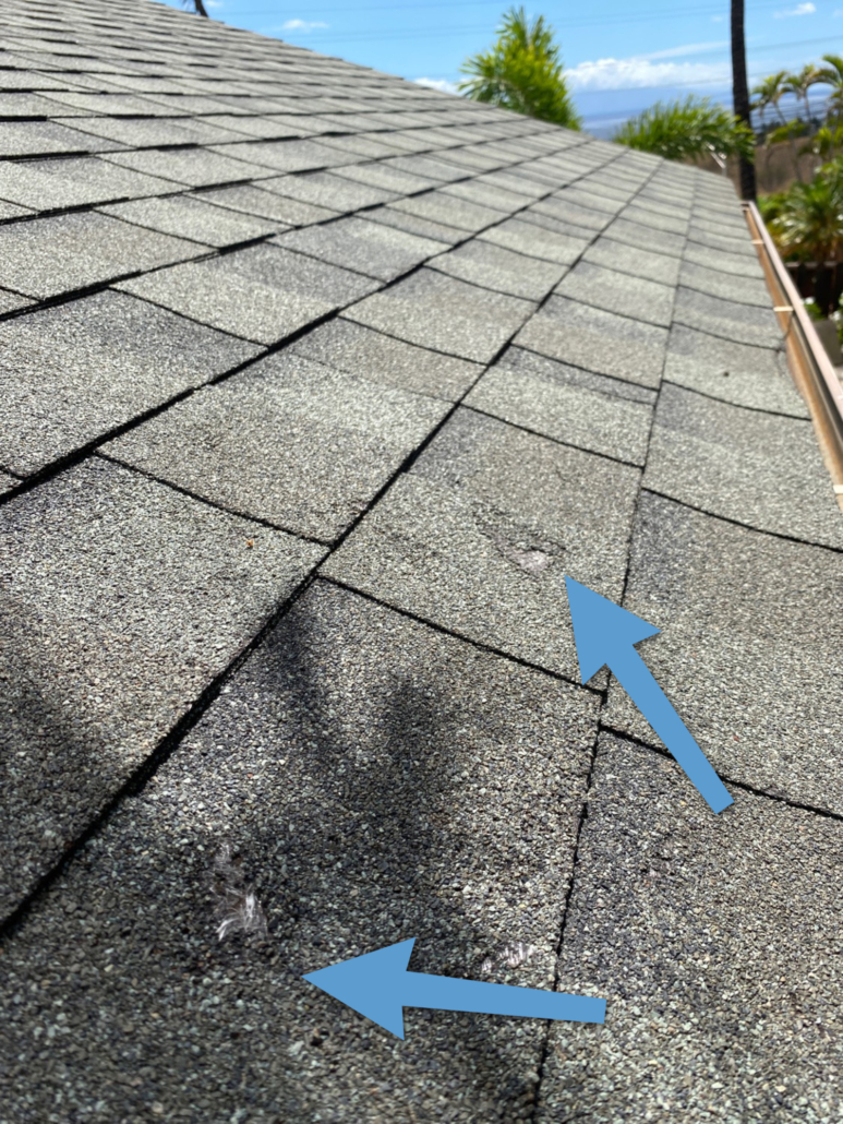 Maui_Home_Inspection_Checklist_roof_damage